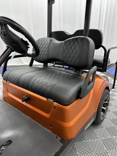 2018 Yamaha Golf Cart Drive2 - Image 15