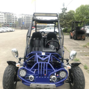 Blue 200E XRX Go-Kart